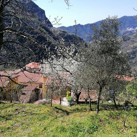 Stazzema Il Metato Di Gallena B&B 외부 사진