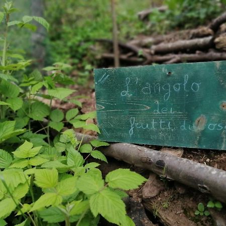 Stazzema Il Metato Di Gallena B&B 외부 사진