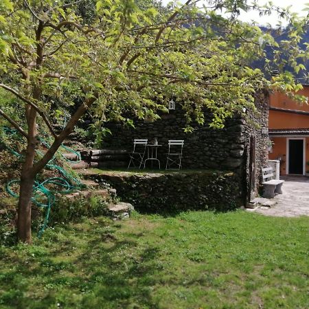 Stazzema Il Metato Di Gallena B&B 외부 사진
