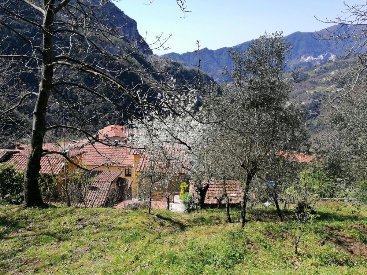 Stazzema Il Metato Di Gallena B&B 외부 사진