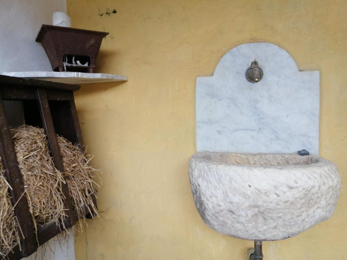 Stazzema Il Metato Di Gallena B&B 외부 사진