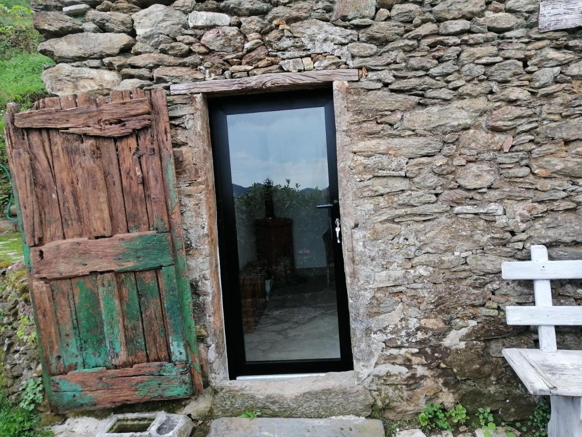 Stazzema Il Metato Di Gallena B&B 외부 사진