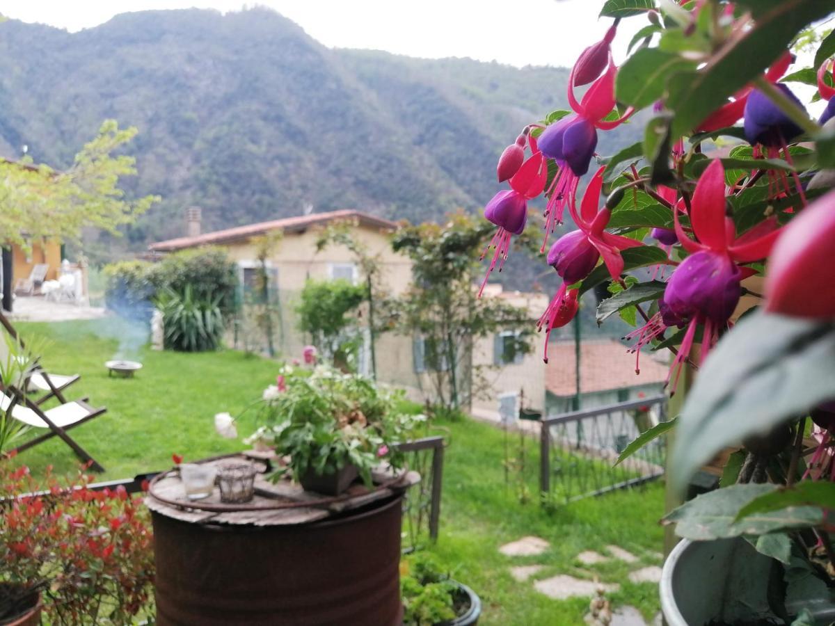 Stazzema Il Metato Di Gallena B&B 외부 사진