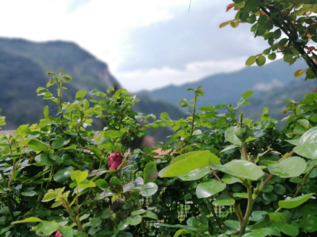 Stazzema Il Metato Di Gallena B&B 외부 사진