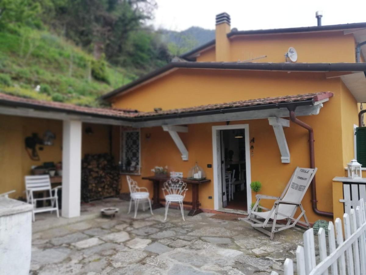 Stazzema Il Metato Di Gallena B&B 외부 사진