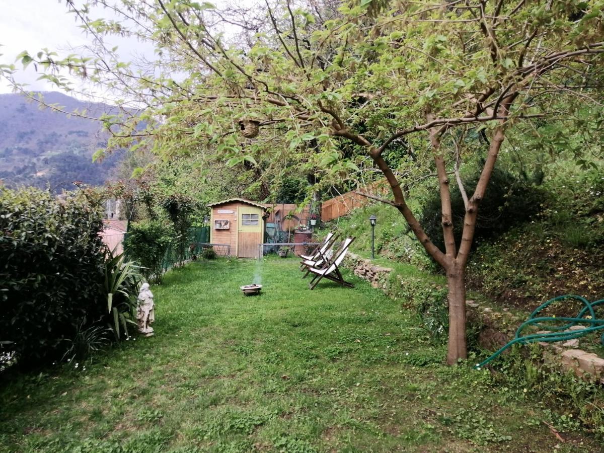 Stazzema Il Metato Di Gallena B&B 외부 사진