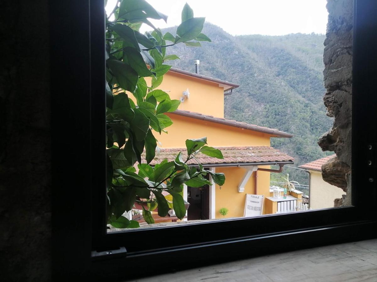 Stazzema Il Metato Di Gallena B&B 외부 사진