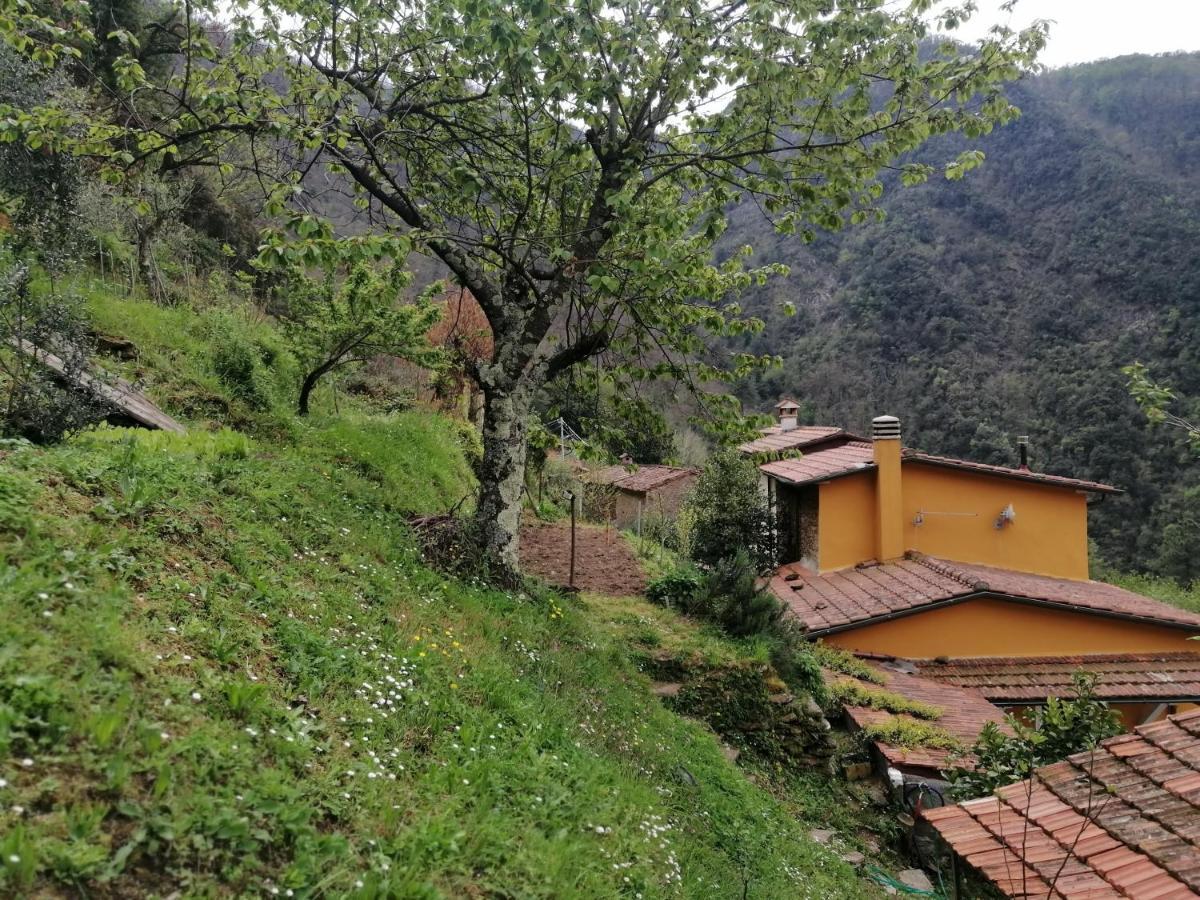 Stazzema Il Metato Di Gallena B&B 외부 사진