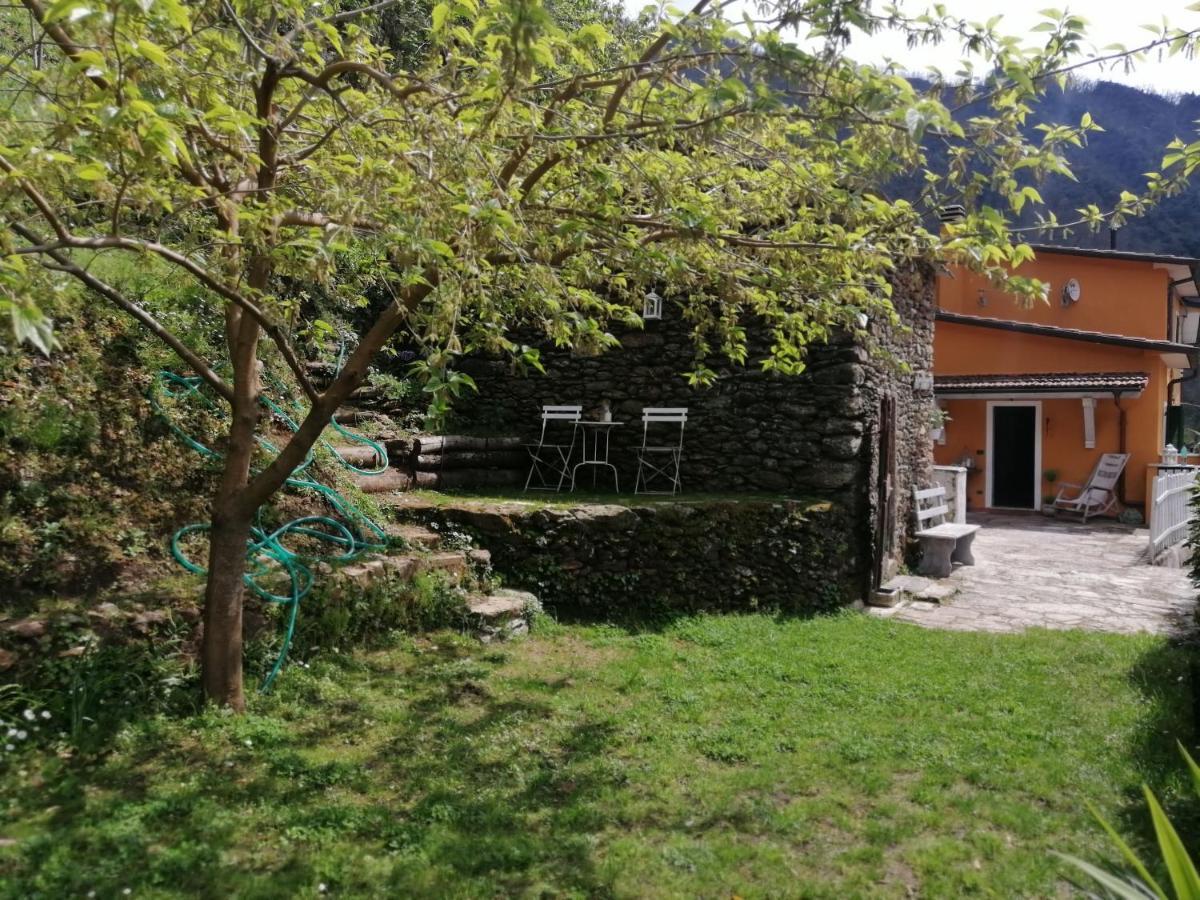 Stazzema Il Metato Di Gallena B&B 외부 사진