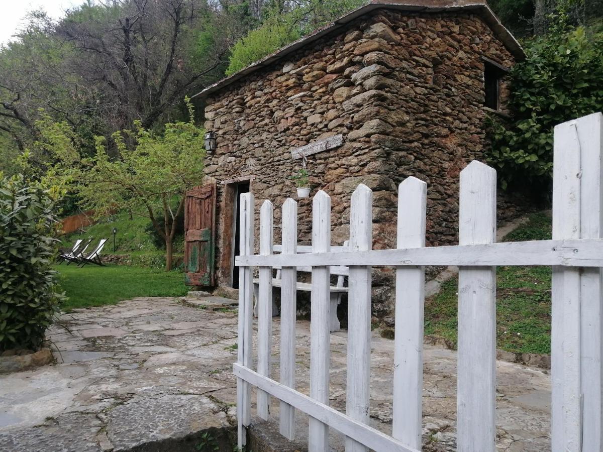 Stazzema Il Metato Di Gallena B&B 외부 사진