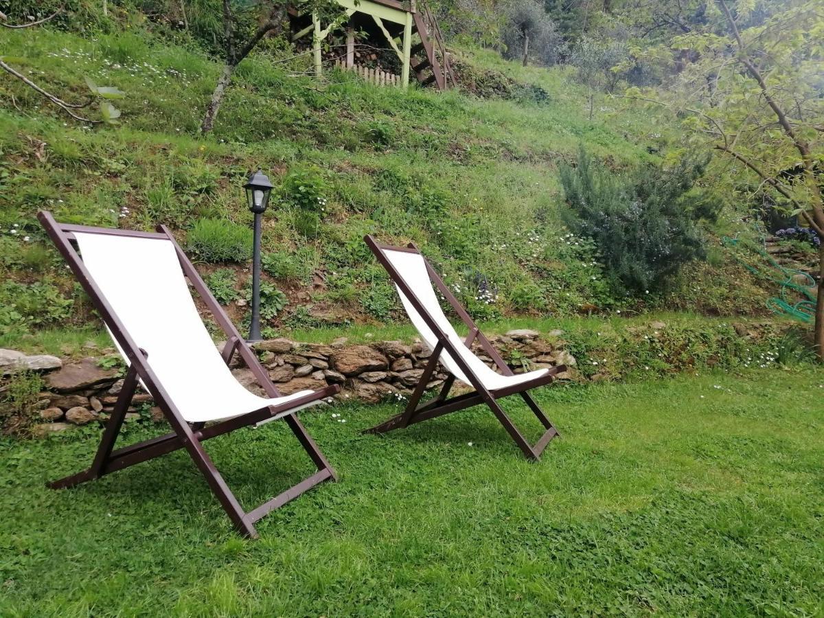 Stazzema Il Metato Di Gallena B&B 외부 사진