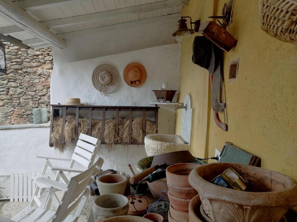 Stazzema Il Metato Di Gallena B&B 외부 사진